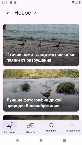 Скриншот 7/8