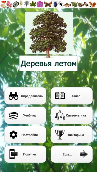 Скриншот 1/8