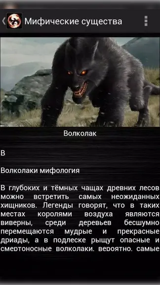 Скриншот 4/4