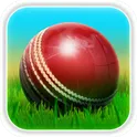 Cricket 3D логотип