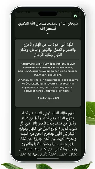 Скриншот 8/10