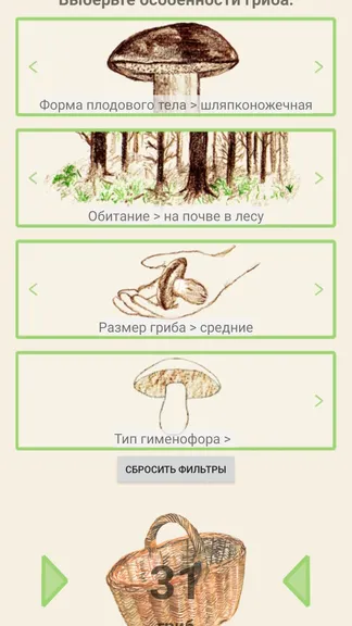 Скриншот 4/5