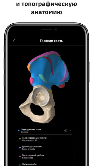 Скриншот 2/5