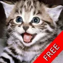 Cat and Kitten Soundboard логотип