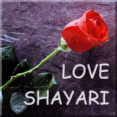 Hindi Love Shayari