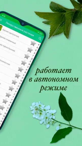 Скриншот 2/10