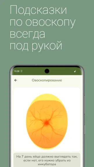 Скриншот 4/5