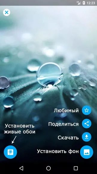 Скриншот 5/5
