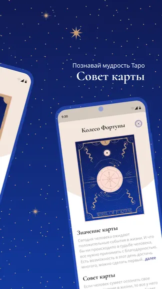 Скриншот 5/5