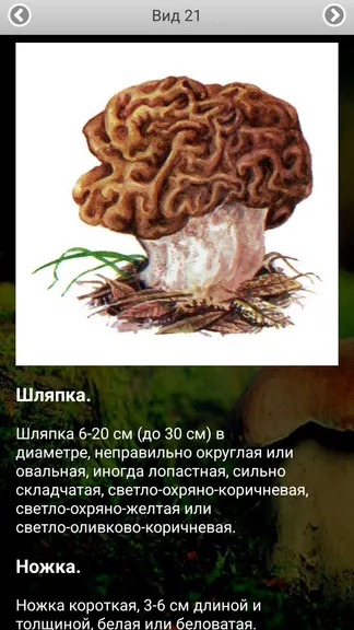 Скриншот 4/8