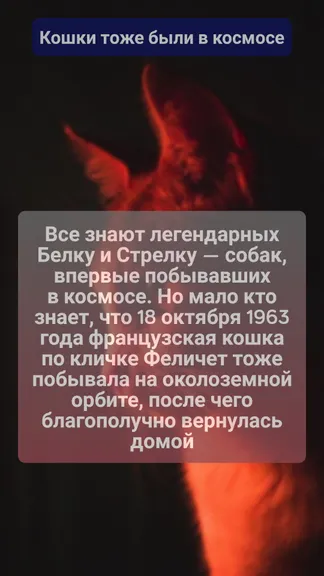 Скриншот 1/3