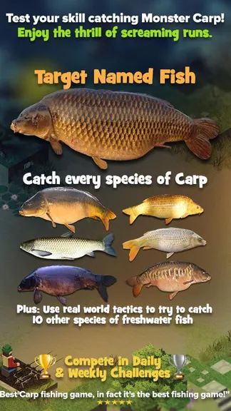 Скриншот 1/7