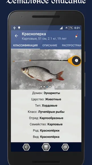 Скриншот 2/5