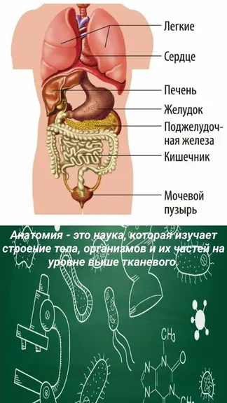 Скриншот 4/4