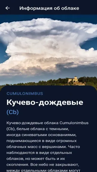 Скриншот 3/4