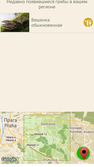Скриншот 5/5