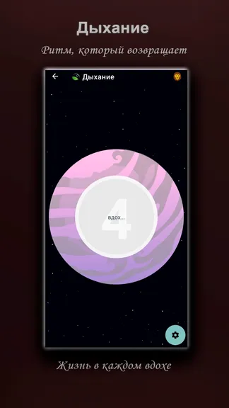 Скриншот 9/10