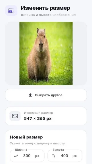 Скриншот 3/4