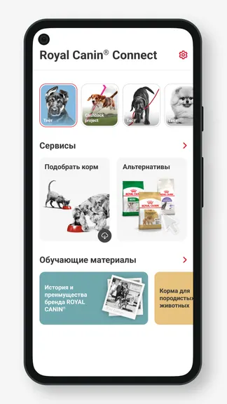 Скриншот 5/5