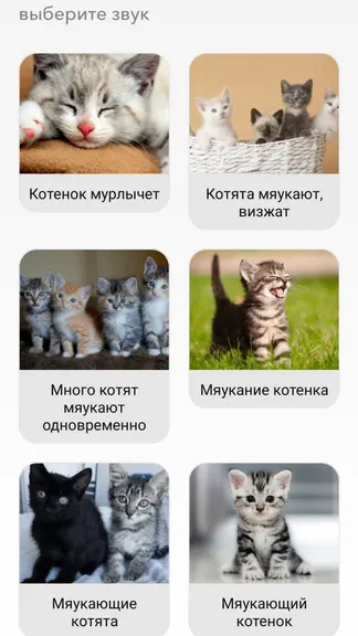 Скриншот 4/5