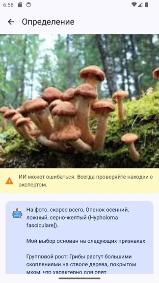 Скриншот 3/6
