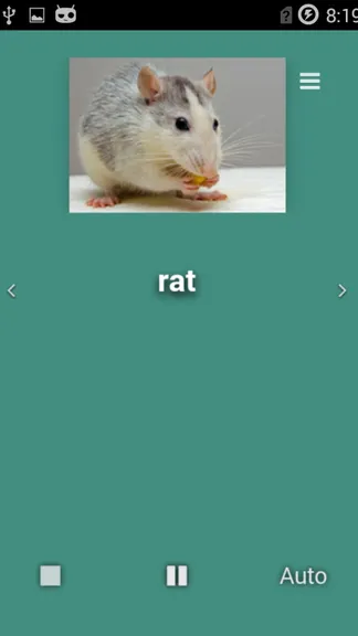 Скриншот 3/5