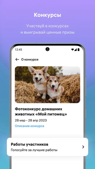 Скриншот 4/4