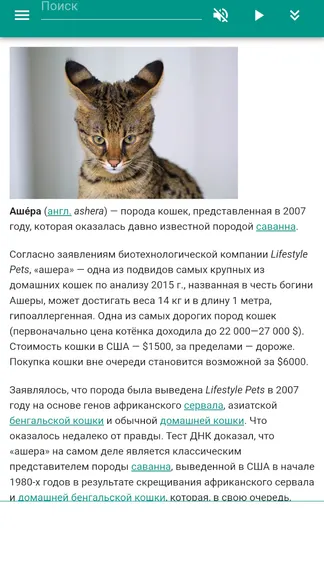 Скриншот 4/4