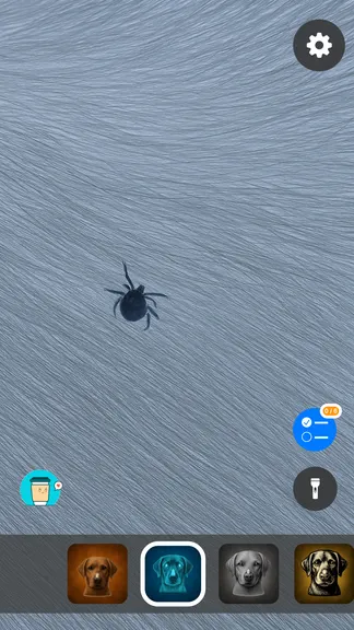 Скриншот 5/5