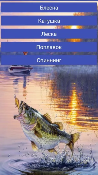 Скриншот 2/5