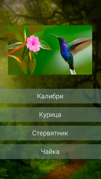 Скриншот 2/3
