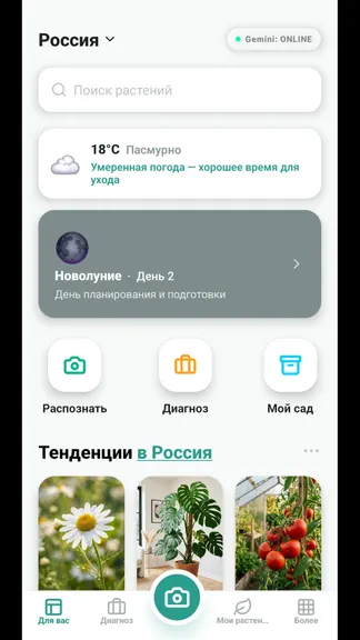 Скриншот 1/9