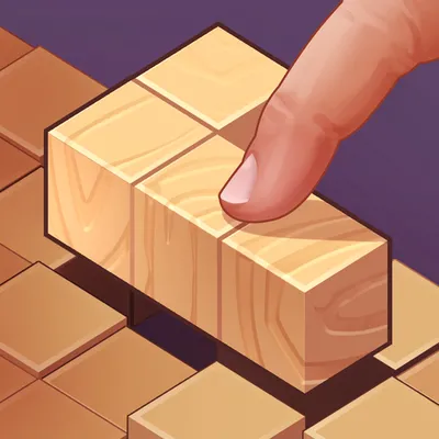 Wood Puzzle Blocks