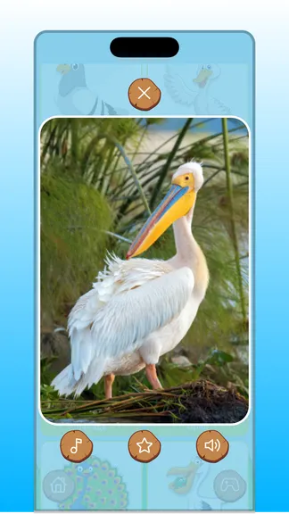 Скриншот 5/5