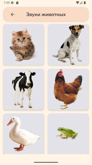 Скриншот 2/6