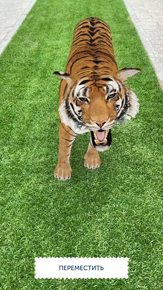 Скриншот 1/6