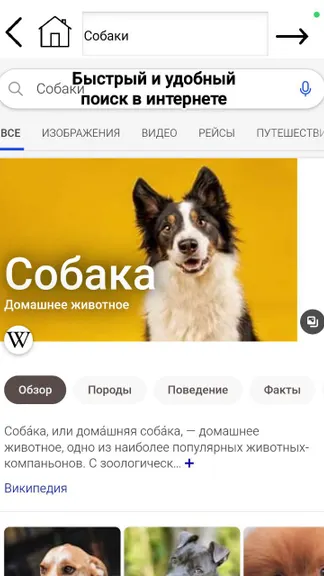 Скриншот 2/4