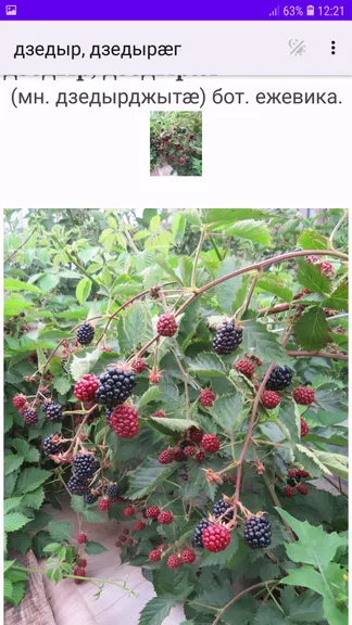 Скриншот 1/8