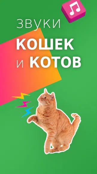 Скриншот 1/5