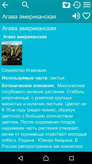 Скриншот 3/4
