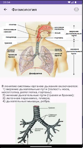 Скриншот 3/4