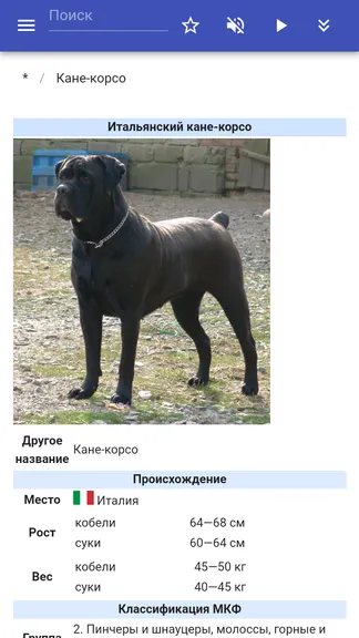 Скриншот 5/5