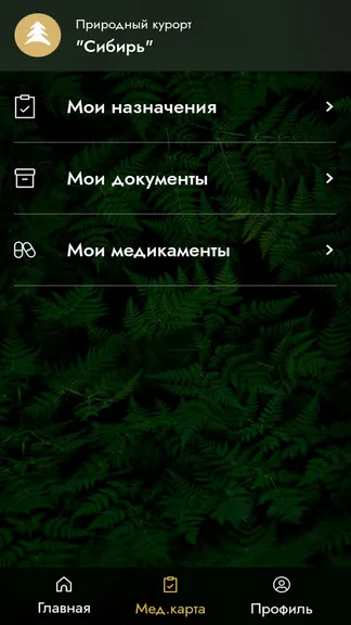 Скриншот 2/5