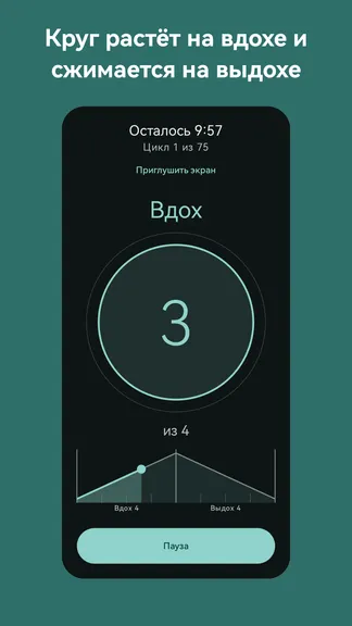 Скриншот 2/5