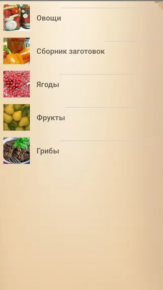 Скриншот 4/4