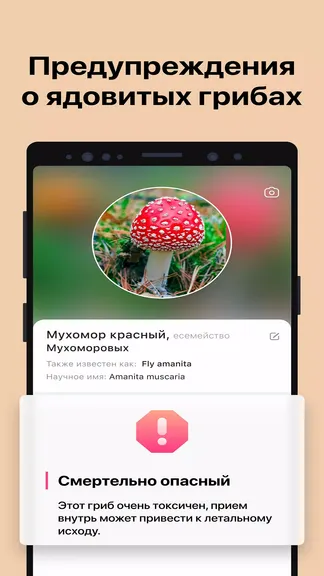 Скриншот 3/7