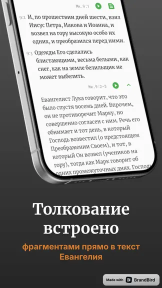 Скриншот 2/5
