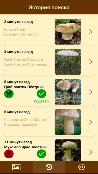 Скриншот 5/7