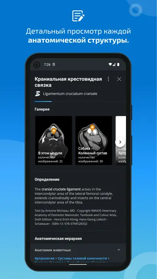 Скриншот 5/8