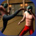 Ninja Kung Fu Fighting 3D логотип
